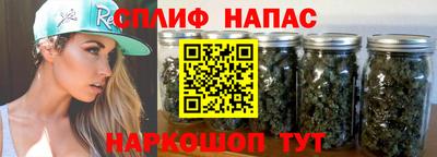 трава Славгород