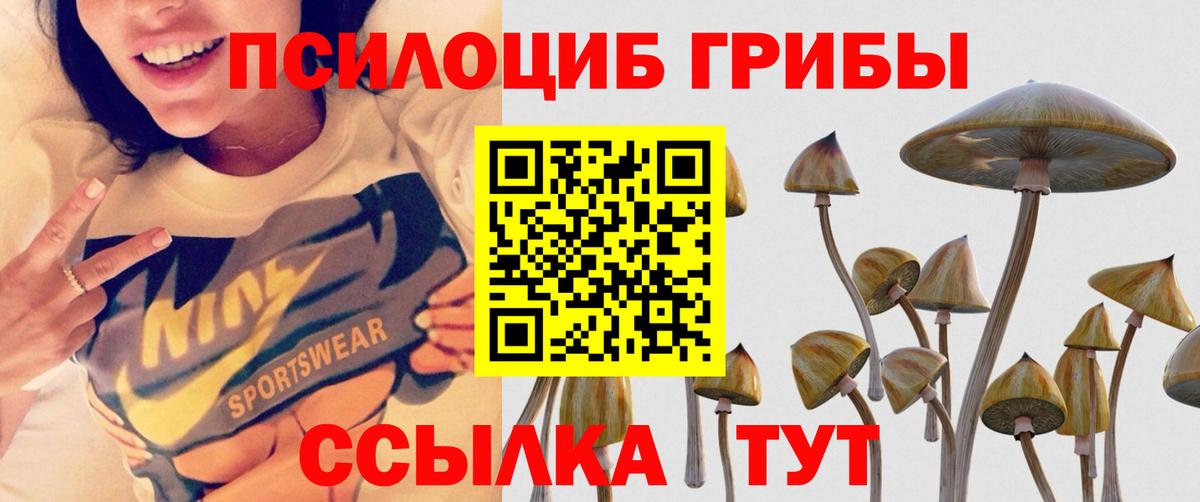Галлюциногенные грибы мицелий  Вход с VPN  Реутов 